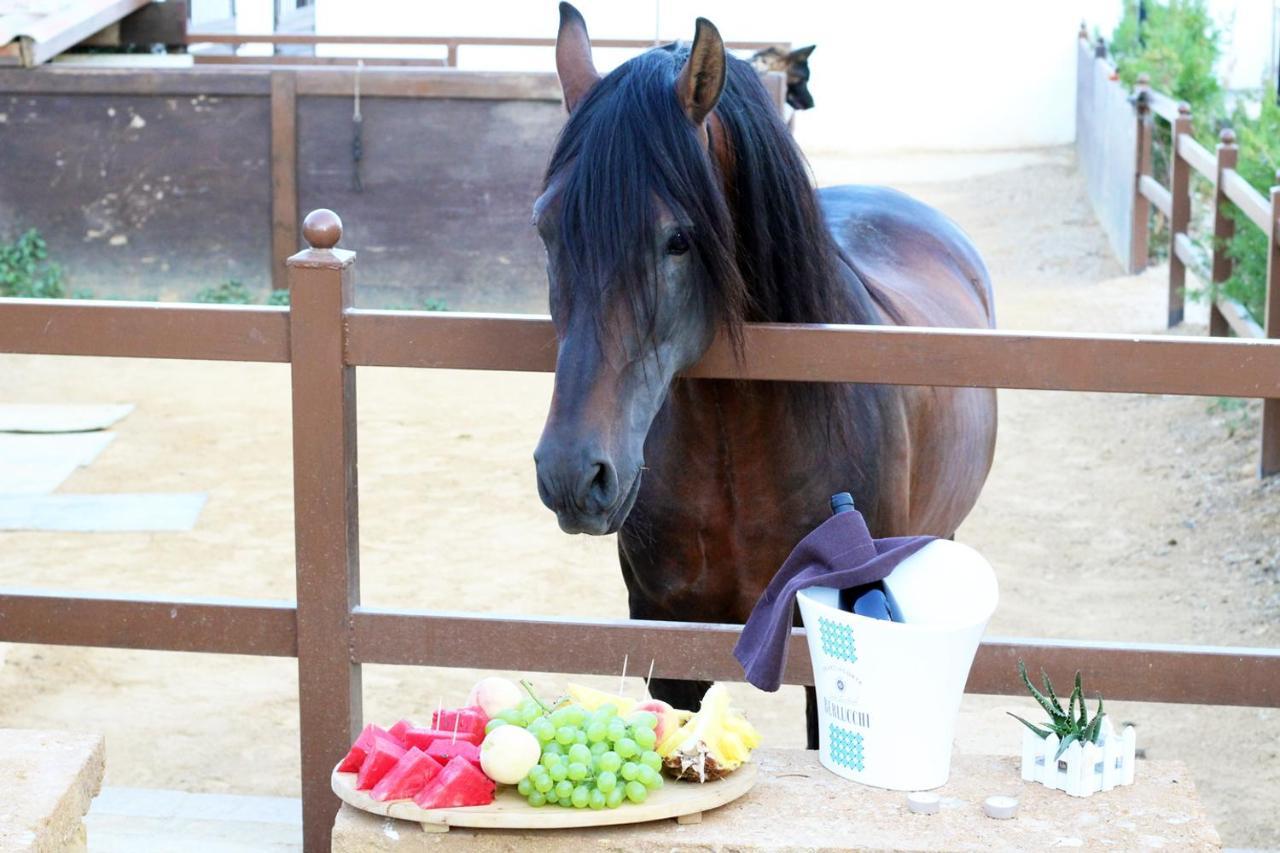 Villa Trinacria Villaggio Mosè Zewnętrze zdjęcie